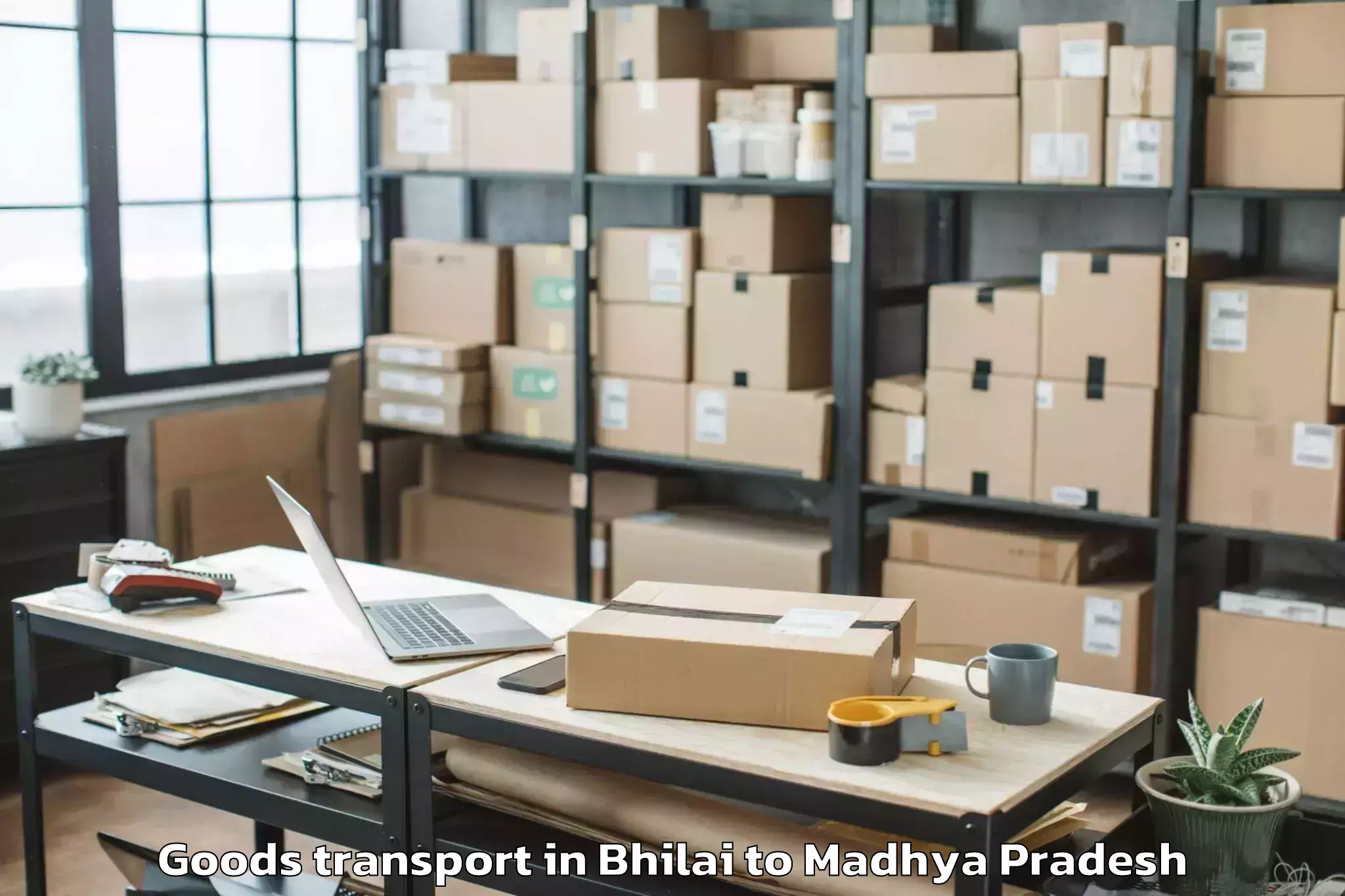 Professional Bhilai to Kailaras Goods Transport